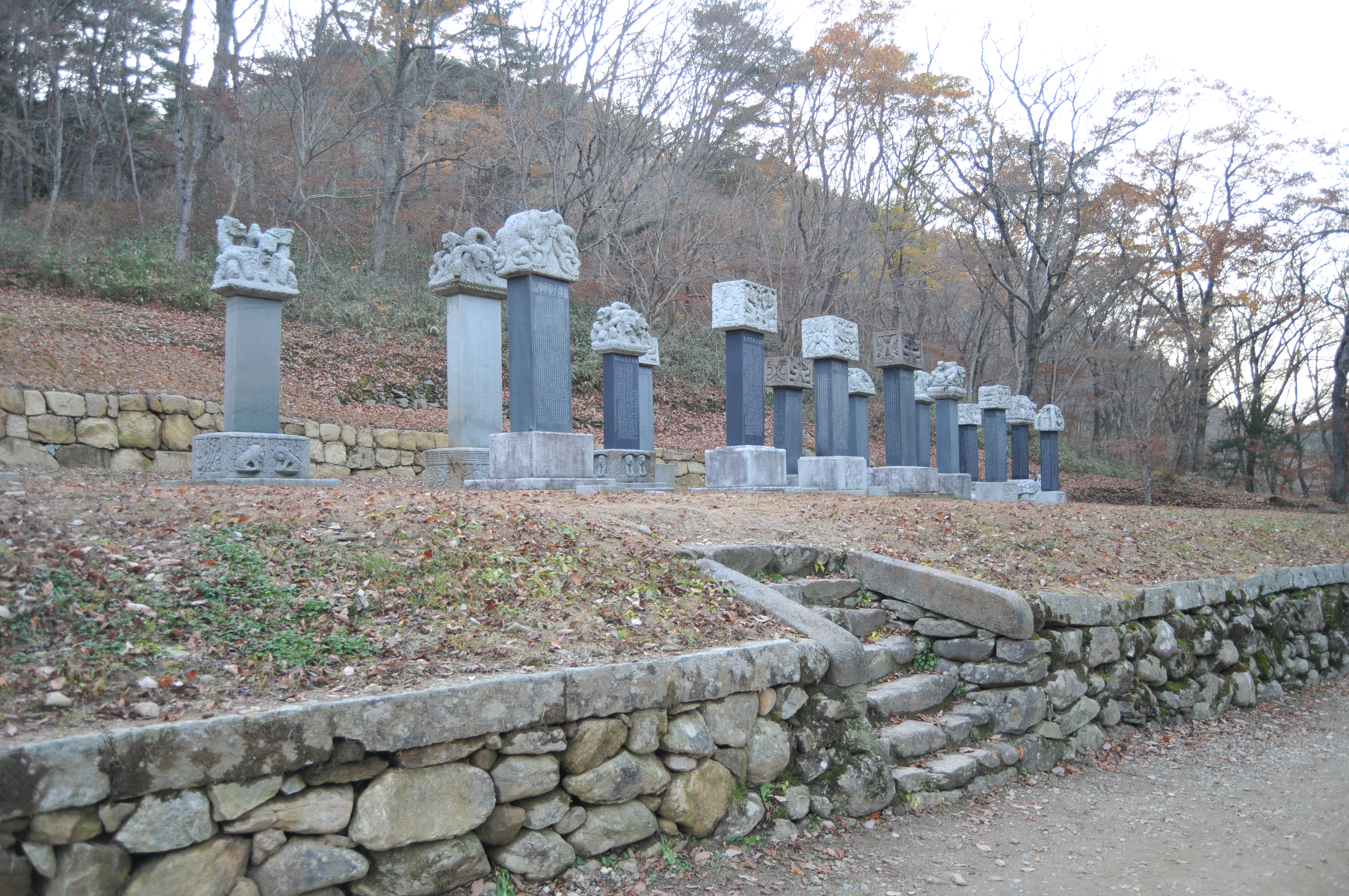 DSC_9323.JPG